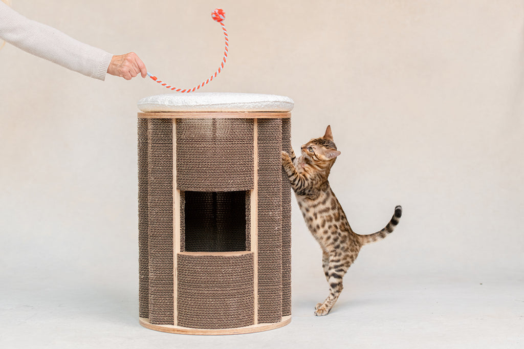 Origameow Modern Cat Scratching Post in Brown with a White Pillow and Cat