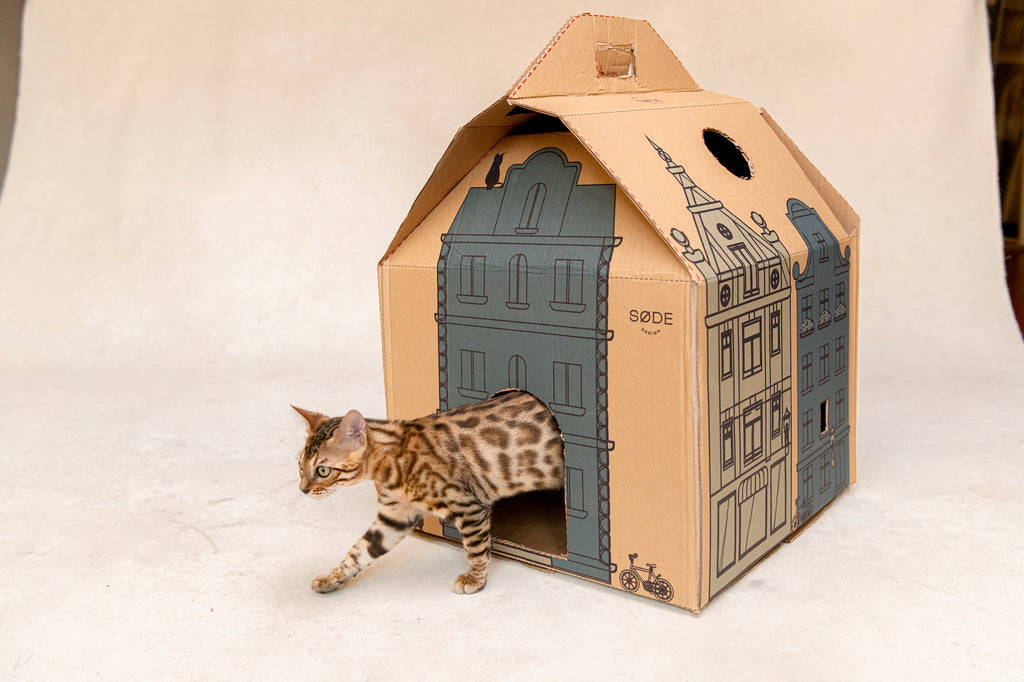 Cat coming out of cardboard cat house