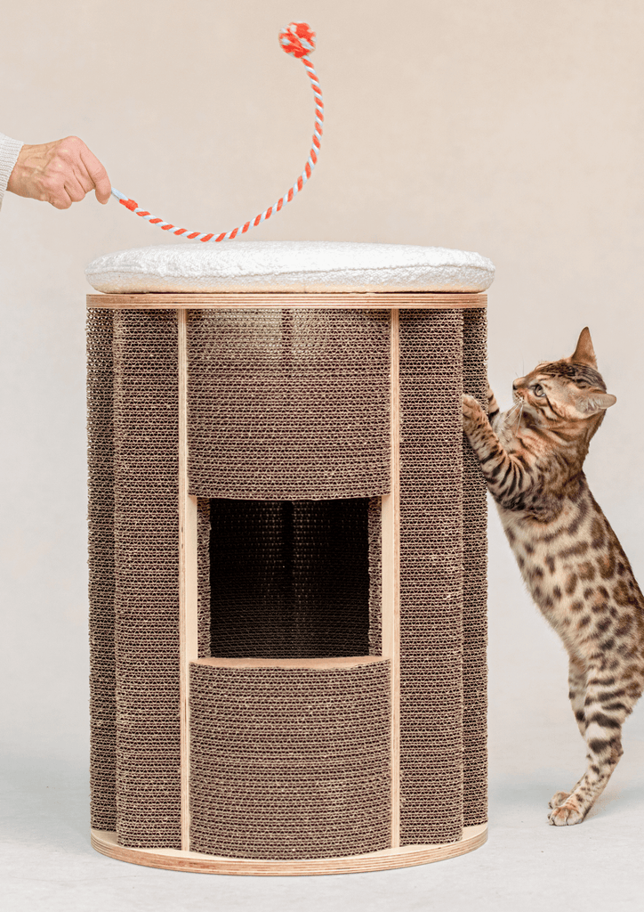 Strong cat scratching post for cats in brown and white