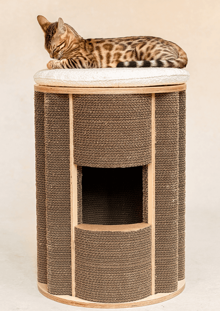 Modern Cat Furniture Scratching Post in Brown with White Fluffy Pillow