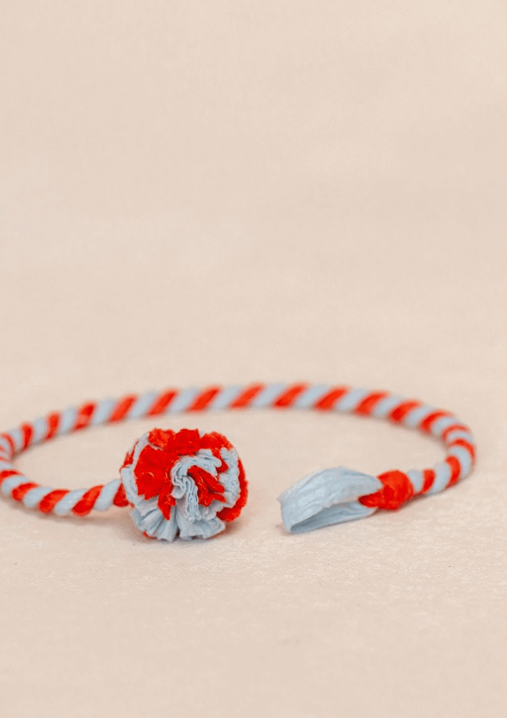 Red and Blue Sustainable Interactive Cat Rope Toy