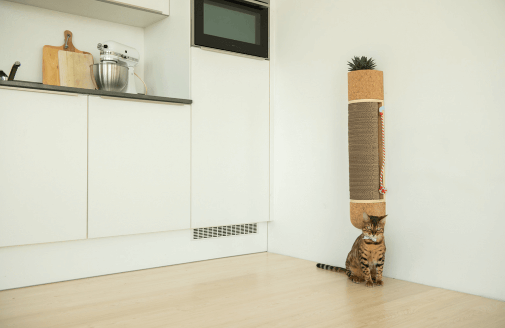 Modern Cat Furniture Sisal Scratching Post and Flower Pot in Brown