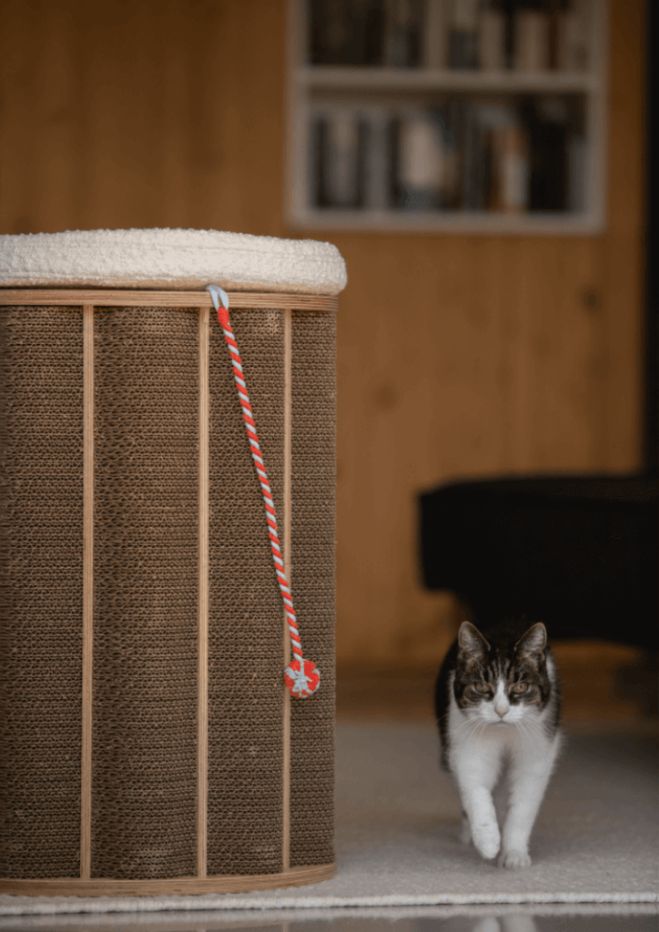 Modern and Sustainable Cat Furniture in Brown and Cat